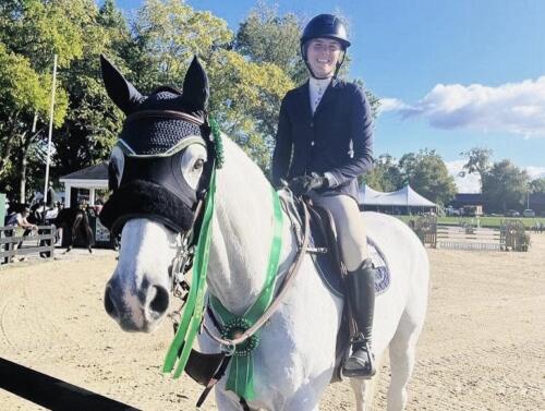 Horse show jumping