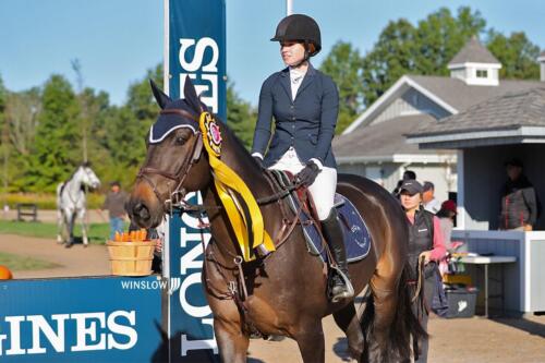 Horse show jumping
