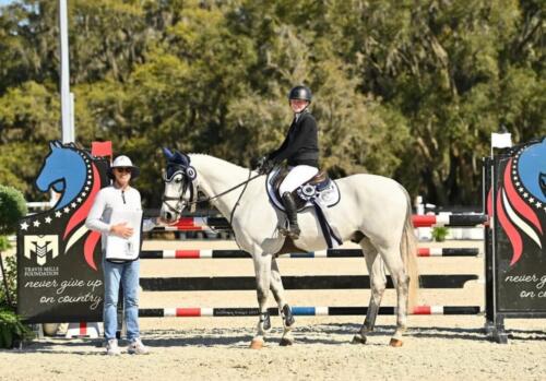 Horse show jumping