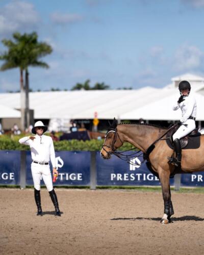 Horse show jumping