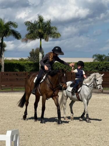 Horses show jumping